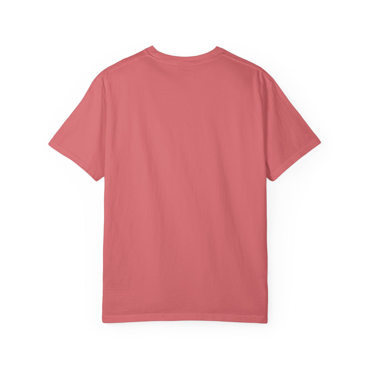 Pick Your Fighter Schools T-Shirt