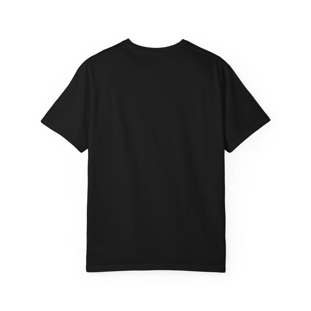 Pick Your Fighter Schools T-Shirt