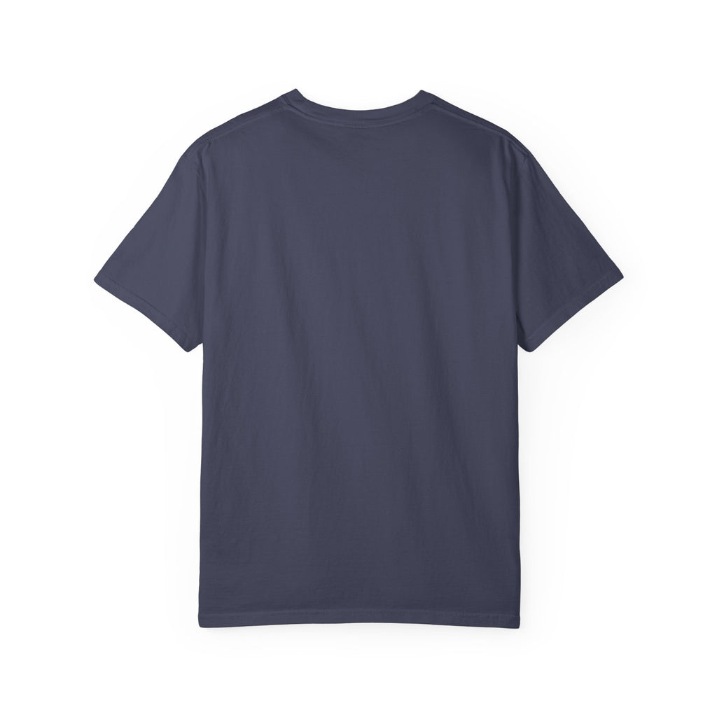 Pick Your Fighter Schools T-Shirt